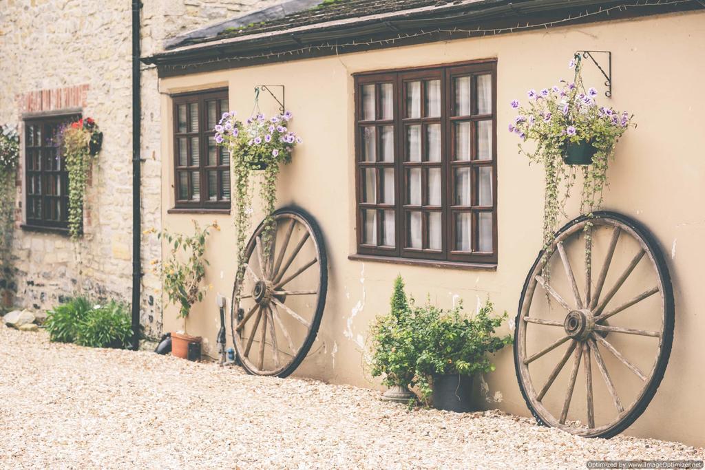 Weycroft Mill House Bed And Breakfast Axminster Extérieur photo