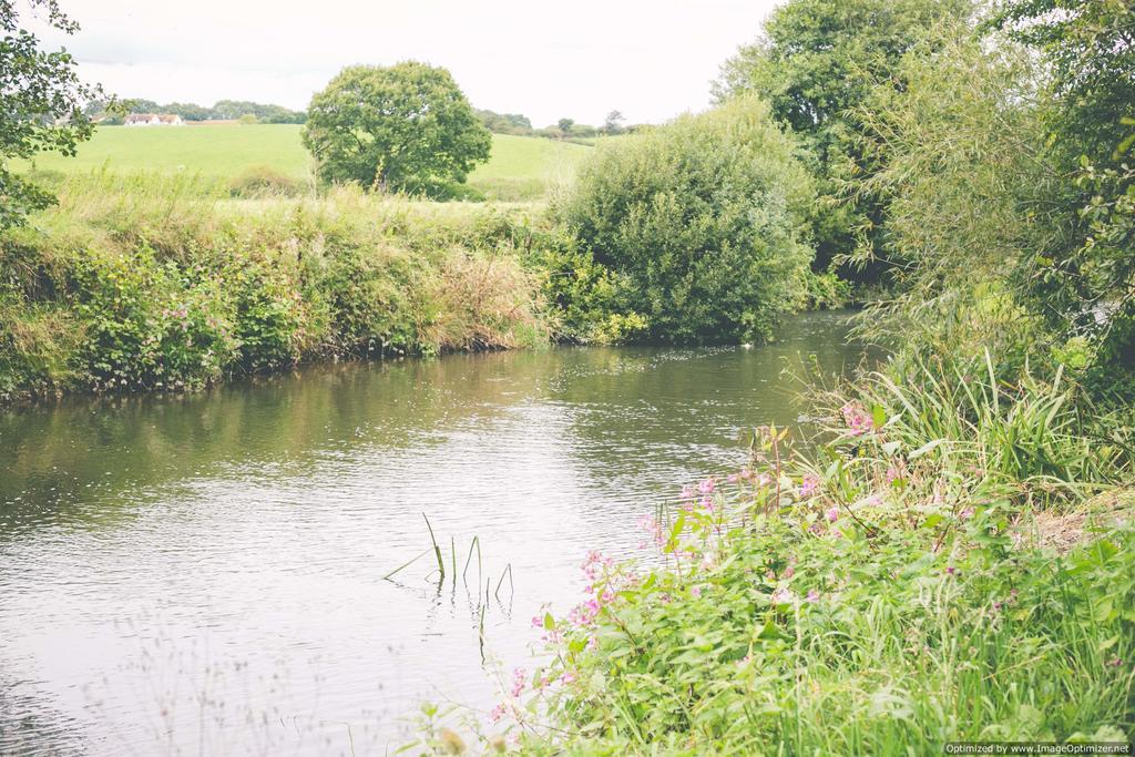 Weycroft Mill House Bed And Breakfast Axminster Extérieur photo